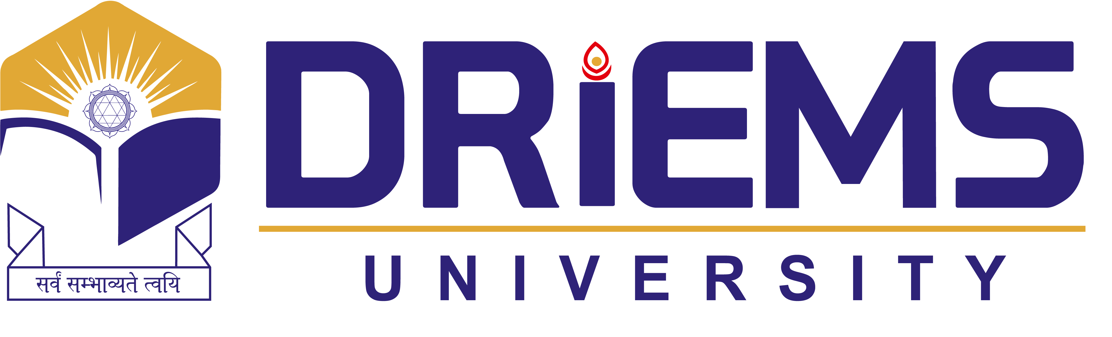 LOGO_DRIEMS-UNIVERSITY-1 (1)